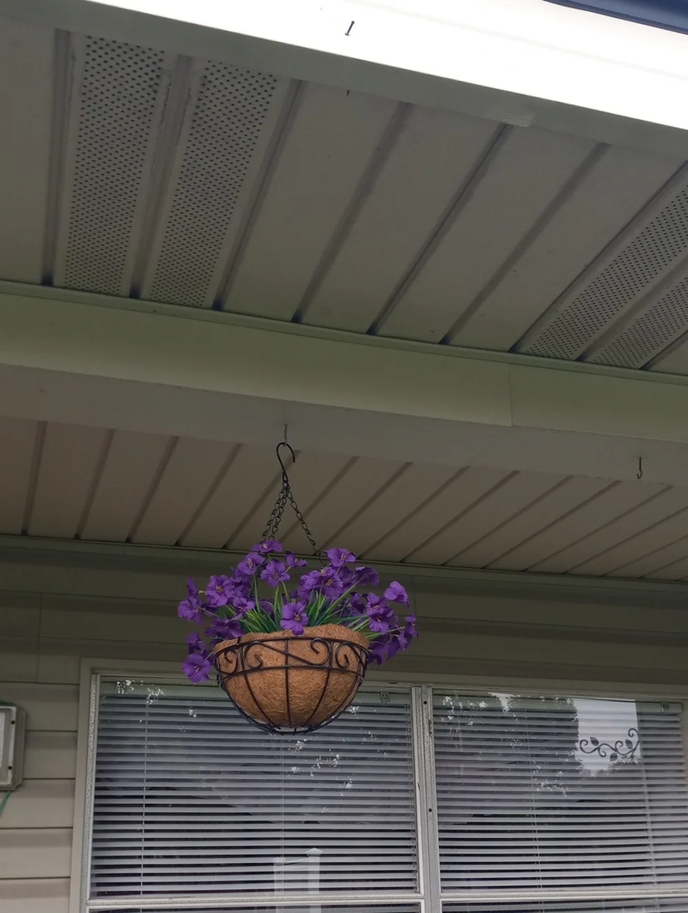 Classic Hanging Planter with Purple Flowers - Unbranded
